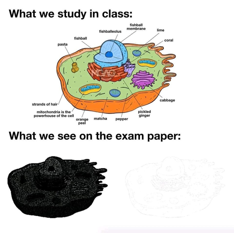 Biology