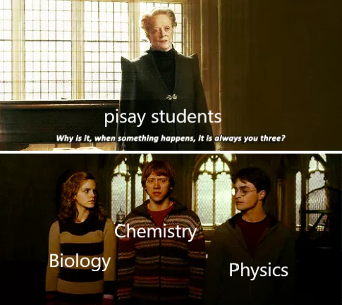 Harry Potter meme